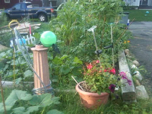 Garden and Solar lights